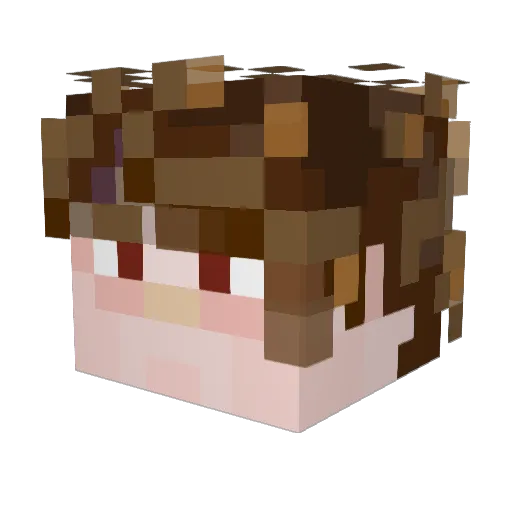 Zbrodo Minecraft avatar head, 3D render