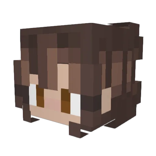 Zcar23 Minecraft avatar head, 3D render