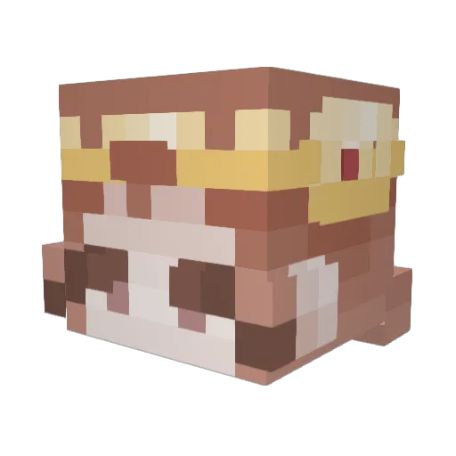 Zcephyer Minecraft avatar head, 3D render