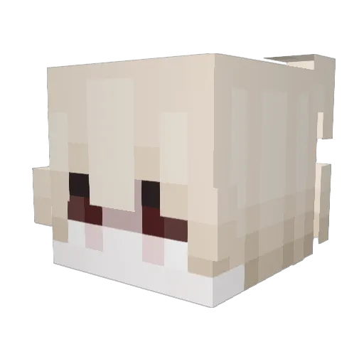 Zcopt Minecraft avatar head, 3D render