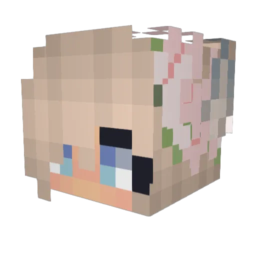 ZdenkaCZ Minecraft avatar head, 3D render