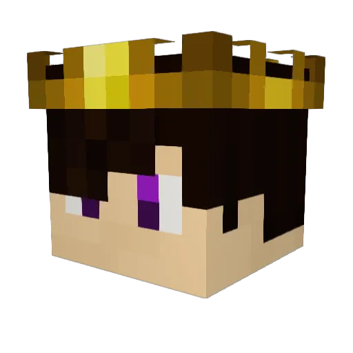 Zdog009 Minecraft avatar head, 3D render