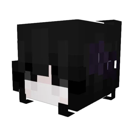 Zdrowezeby321 Minecraft avatar head, 3D render