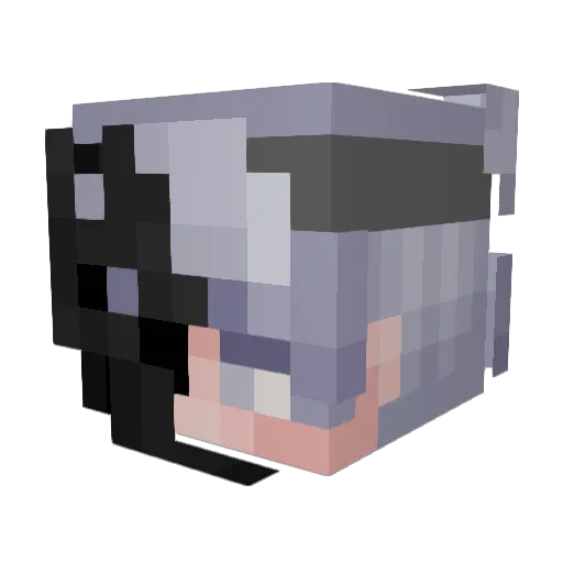Ze3st0 Minecraft avatar head, 3D render