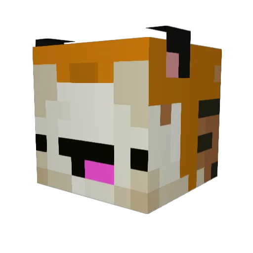 Ze4msone Minecraft avatar head, 3D render