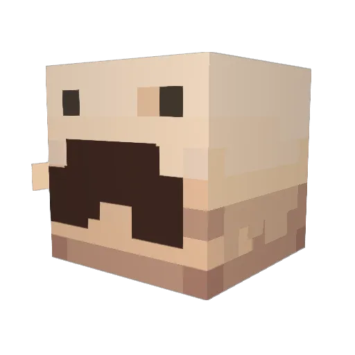 ZeDaMata Minecraft avatar head, 3D render