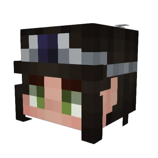 ZeDominator115 Minecraft avatar head, 3D render