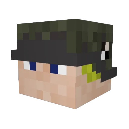 ZeFunkyMonkey Minecraft avatar head, 3D render