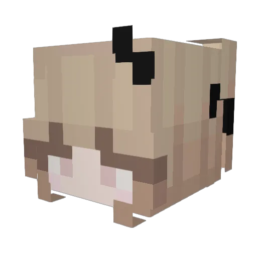 ZeJo_ Minecraft avatar head, 3D render