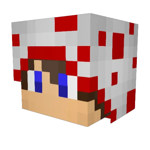 ZeKupCake Minecraft avatar head, 3D render