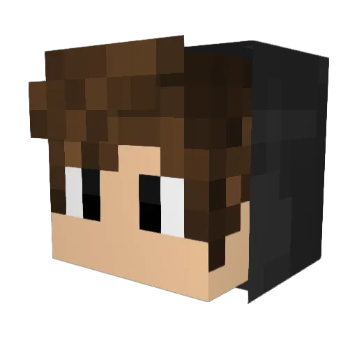 ZeLinker_ Minecraft avatar head, 3D render