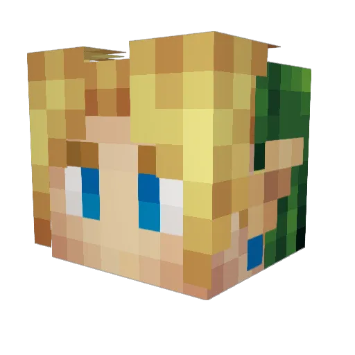 ZeLinkshipper Minecraft avatar head, 3D render