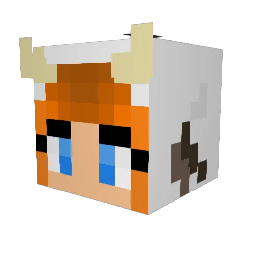 ZeMooKhajiit Minecraft avatar head, 3D render