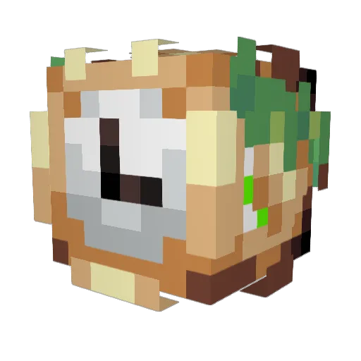 ZeR0xNinja Minecraft avatar head, 3D render