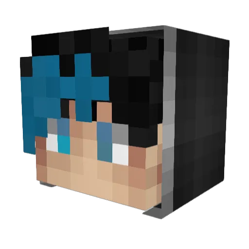 ZeRaX06 Minecraft avatar head, 3D render