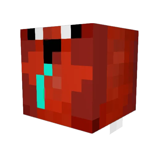 ZeShun Minecraft avatar head, 3D render