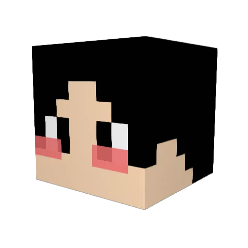 ZeT0nk Minecraft avatar head, 3D render