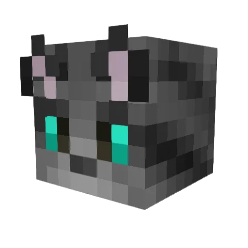 ZeTurkey187 Minecraft avatar head, 3D render