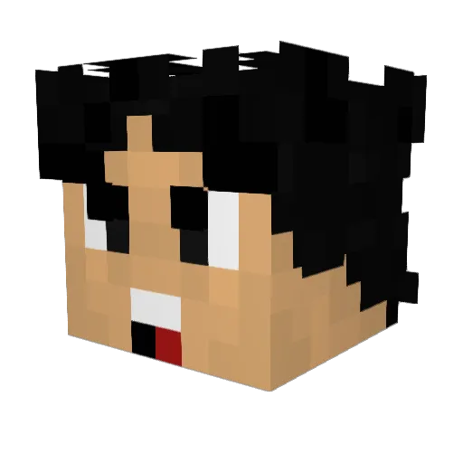 Ze_Jayy Minecraft avatar head, 3D render