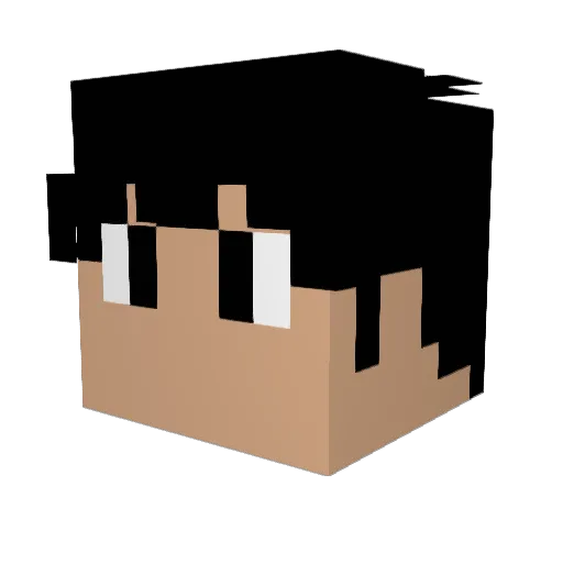 Ze_Marcel0 Minecraft avatar head, 3D render