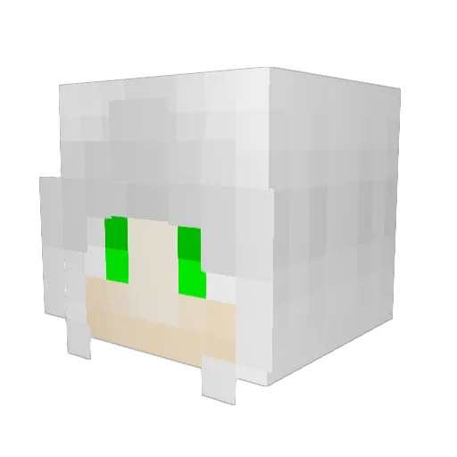 Zeagan Minecraft avatar head, 3D render