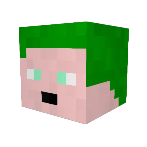 ZeakoN Minecraft avatar head, 3D render