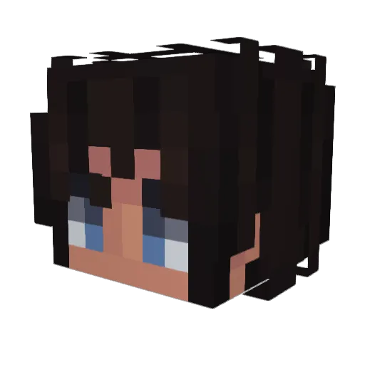 Zealadin Minecraft avatar head, 3D render