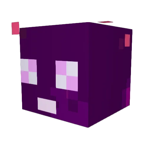 Zeamer Minecraft avatar head, 3D render