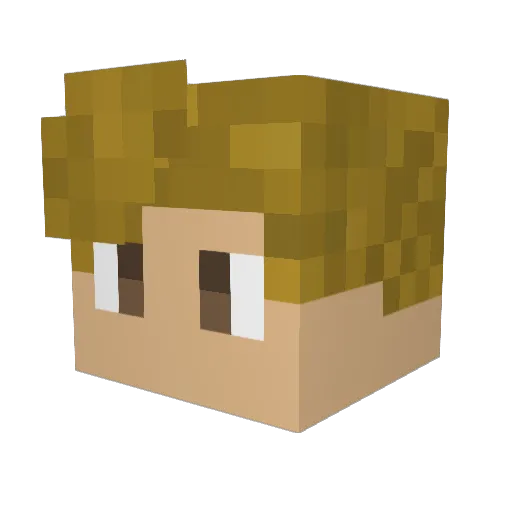 Zean651 Minecraft avatar head, 3D render