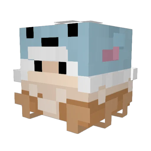 Zears55 Minecraft avatar head, 3D render