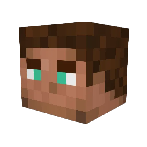 Zeash_ Minecraft avatar head, 3D render