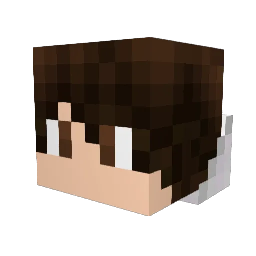 Zeaston Minecraft avatar head, 3D render