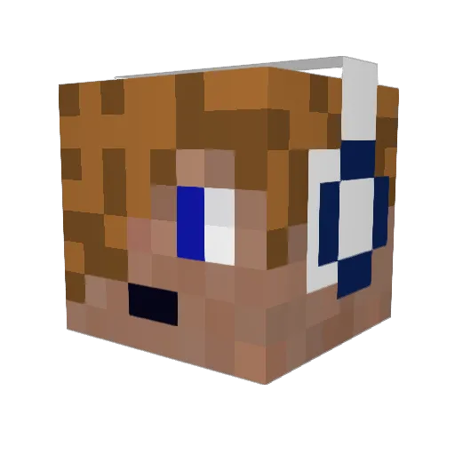 Zebbe7331 Minecraft avatar head, 3D render