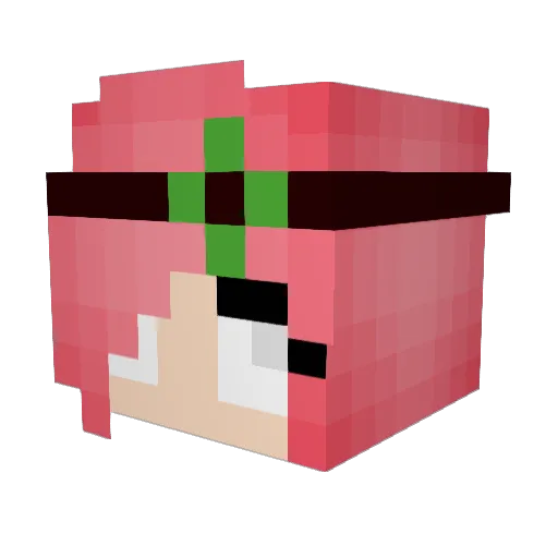 ZebedeeDooDah Minecraft avatar head, 3D render