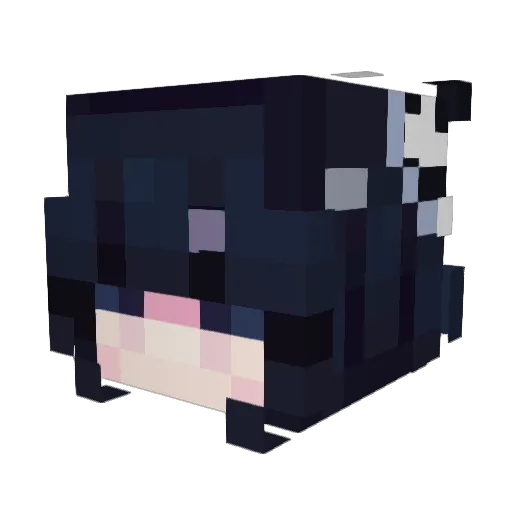 Zebelus Minecraft avatar head, 3D render