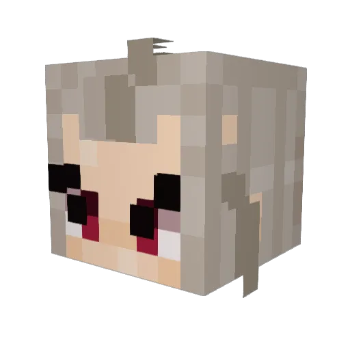 Zeberus01 Minecraft avatar head, 3D render