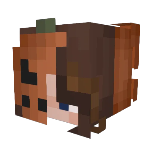 ZebraMaster09 Minecraft avatar head, 3D render