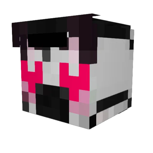 ZebraPantz Minecraft avatar head, 3D render