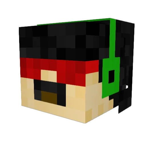 Zebra_Man134 Minecraft avatar head, 3D render