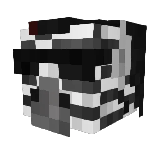 Zebraa69 Minecraft avatar head, 3D render