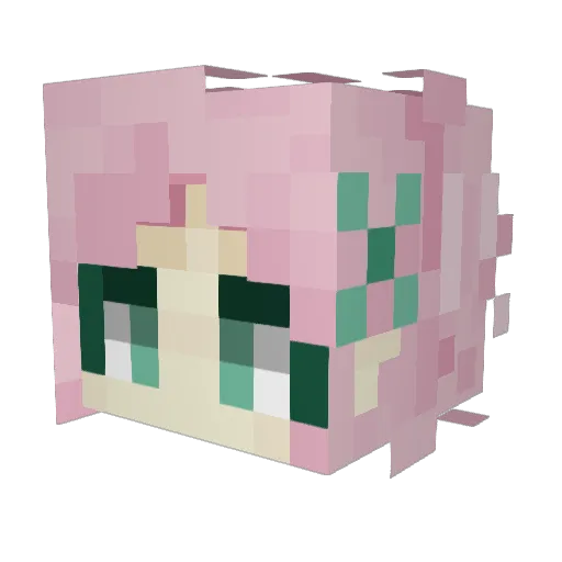 Zebrashark18 Minecraft avatar head, 3D render