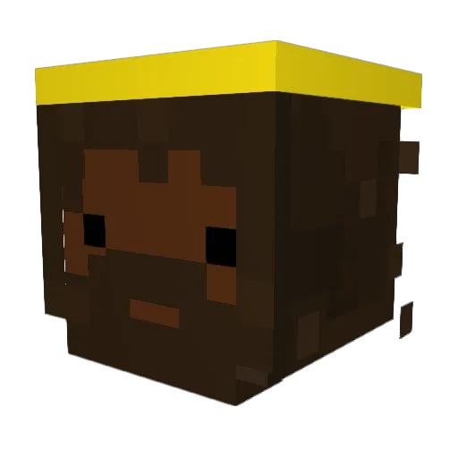 Zebrashark27 Minecraft avatar head, 3D render