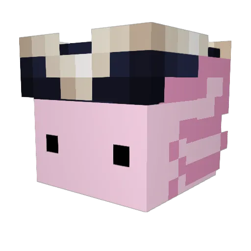 Zebrizz Minecraft avatar head, 3D render