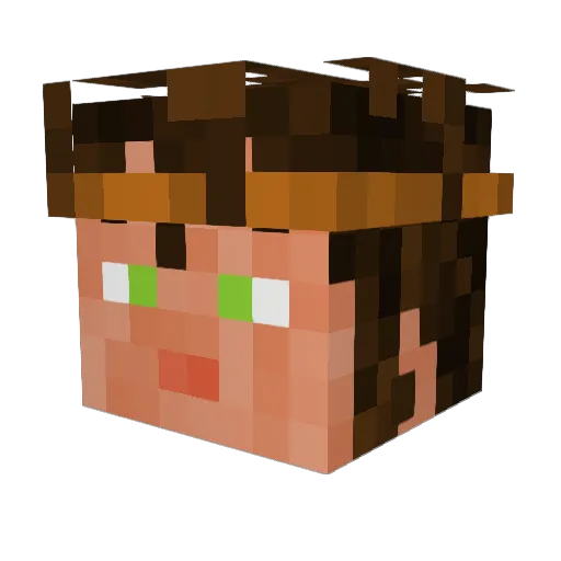 Zebro1215 Minecraft avatar head, 3D render