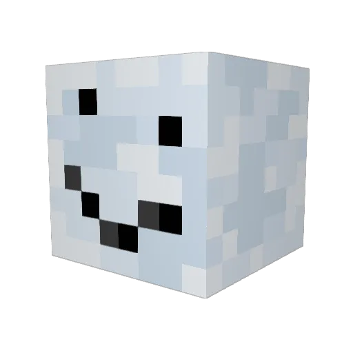 Zebulonus Minecraft avatar head, 3D render