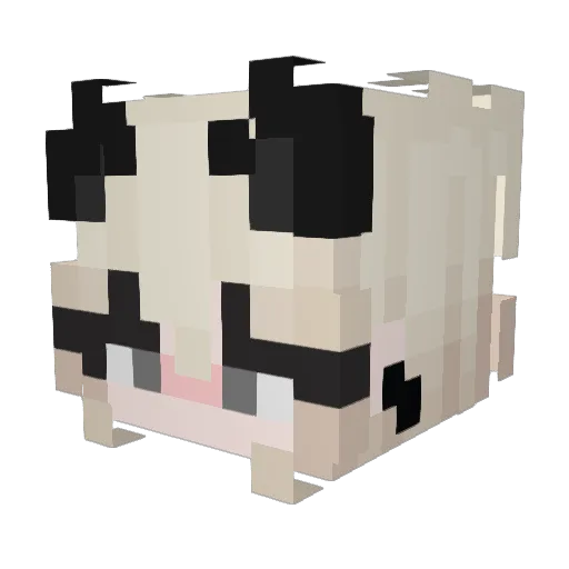 ZecoCo_X Minecraft avatar head, 3D render