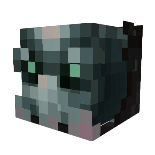 Zectarash_P Minecraft avatar head, 3D render