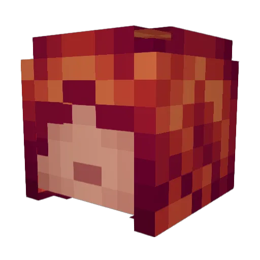 Zecti0n Minecraft avatar head, 3D render