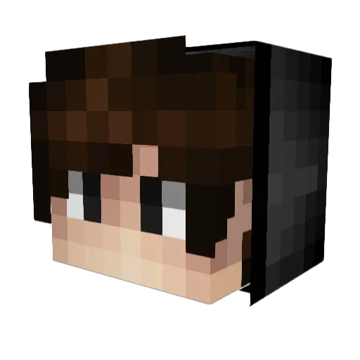 Zed365 Minecraft avatar head, 3D render