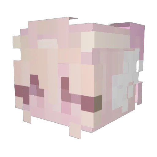 ZedFlow Minecraft avatar head, 3D render